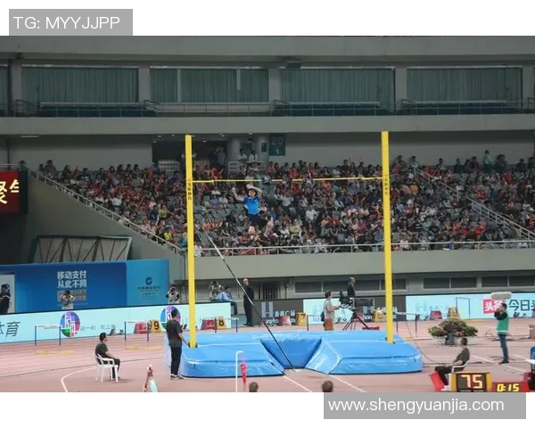 上海网球队逆袭之旅揭秘：钻石联赛背后的奋斗与荣耀