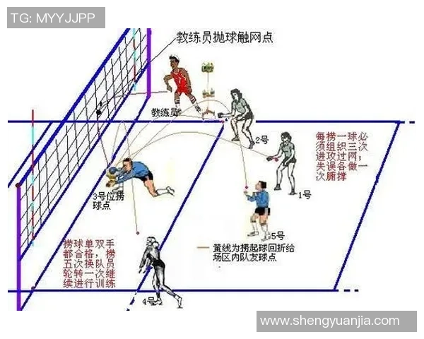从零起步掌握排球技巧与战术全面指南助你成为排球高手