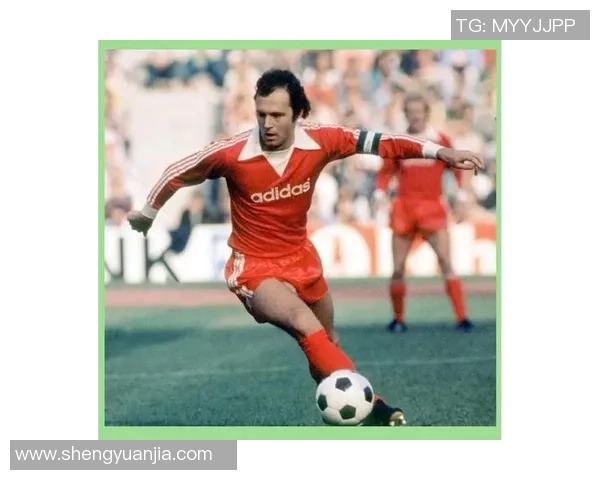 足球明星白衣7号的传奇之路与球场背后的故事揭秘