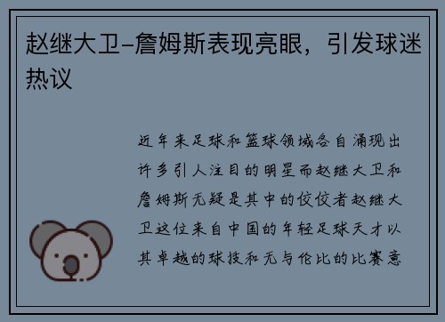 赵继大卫-詹姆斯表现亮眼，引发球迷热议