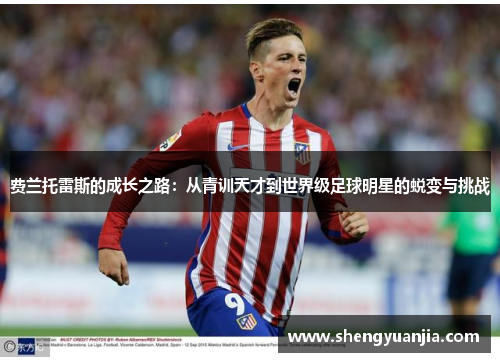 费兰托雷斯的成长之路：从青训天才到世界级足球明星的蜕变与挑战